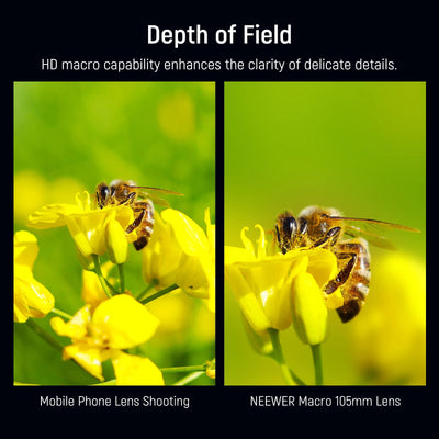 NEEWER HD 105mm Macro Lens Only for 17mm Thread Backplate For iPhone Samsung Xiaomi Phone Cage Case with 17 mm Lens Adapter
