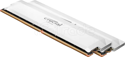 Kit Barrettes mémoire 32Go (2x16Go) DIMM DDR5 Crucial Pro OC Gaming 6000MHz (Blanc)